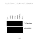 HUMAN PROTEIN ACYL TRANSFERASES AND METHODS OF USES THEREFOR diagram and image