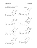 Burkholderia rhizoxina micro-organisms, novel endosymbionts of rhizopus sp. and method for producing rhizoxin and/or rhizoxin-derivates using said micro-organisms diagram and image
