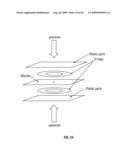 HIGH-DENSITY ION TRANSPORT MEASUREMENT BIOCHIP DEVICES AND METHODS diagram and image