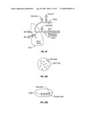 HIGH-DENSITY ION TRANSPORT MEASUREMENT BIOCHIP DEVICES AND METHODS diagram and image