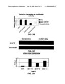 MicroRNA Fingerprints During Human Megakaryocytopoiesis diagram and image