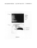 NOVEL USES FOR DRUGS TARGETING GLUTAMINE SYNTHETASE diagram and image