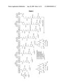 21-DEOXYMACBECIN ANALOGUES USEFUL AS ANTITUMOR AGENTS diagram and image