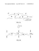 CERAMIC GREEN SHEET AND METHOD FOR PRODUCING THE SAME diagram and image