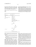 WATER-BASED LACQUERS COMPRISING HIGHLY FUNCTIONAL, HIGHLY BRANCHED OR HYPERBRANCHED POLYCARBONATES diagram and image