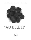 CHESTNUT PLANT NAMED  AU BUCK II  diagram and image
