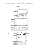 Photo-Activatable Amino Acids diagram and image