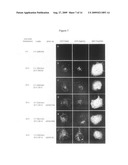 Photo-Activatable Amino Acids diagram and image