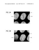 SURFACE TREATMENT METHOD diagram and image