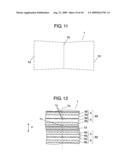 PLASMA DISPLAY PANEL diagram and image