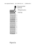 Magnetic Tagging Techniques diagram and image