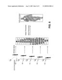 Real time imaging expandable passive millimeter wave system for detecting concealed objects diagram and image