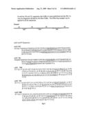 Human Monoclonal Antibodies Against Hendra and Nipah Viruses diagram and image