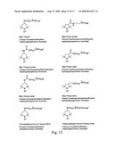 In Vivo Mitochondrial Labeling Using Positively-Charged Nitroxide Enhanced and Gadolinium Chelate Enhanced Magnetic Resonance Imaging diagram and image