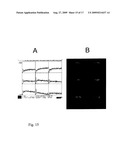 In Vivo Mitochondrial Labeling Using Positively-Charged Nitroxide Enhanced and Gadolinium Chelate Enhanced Magnetic Resonance Imaging diagram and image