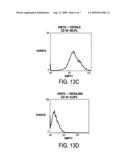 STEM CELL THERAPY FOR THE TREATMENT OF CENTRAL NERVOUS SYSTEM DISORDERS diagram and image