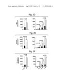 Serum Response Factor and Myocardin Control Alzheimer Cerebral Amyloid Angiopathy diagram and image