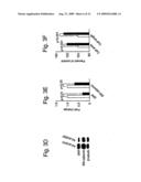 Serum Response Factor and Myocardin Control Alzheimer Cerebral Amyloid Angiopathy diagram and image