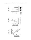 Serum Response Factor and Myocardin Control Alzheimer Cerebral Amyloid Angiopathy diagram and image