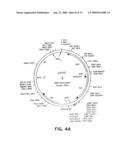 PEPTIDES AND COMPOUNDS THAT BIND TO A RECEPTOR diagram and image