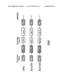 ISOLATED STROMAL CELLS FOR USE IN THE TREATMENT OF DISEASES OF THE CENTRAL NERVOUS SYSTEM diagram and image