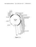 Broad Spectrum Antiviral Compositions diagram and image