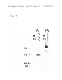 Soluble CLCA-1 and antagonists to CLCA-1 diagram and image