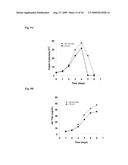 HOST CELL LINES FOR PRODUCTION OF ANTIBODY CONSTANT REGION WITH ENHANCED EFFECTOR FUNCTION diagram and image