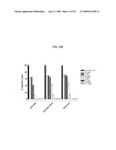 HOST CELL LINES FOR PRODUCTION OF ANTIBODY CONSTANT REGION WITH ENHANCED EFFECTOR FUNCTION diagram and image