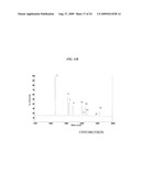 HOST CELL LINES FOR PRODUCTION OF ANTIBODY CONSTANT REGION WITH ENHANCED EFFECTOR FUNCTION diagram and image