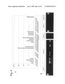 Identification of Surface-Associated Antigens for Tumor Diagnosis and Therapy diagram and image