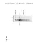 Identification of Surface-Associated Antigens for Tumor Diagnosis and Therapy diagram and image