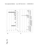 Identification of Surface-Associated Antigens for Tumor Diagnosis and Therapy diagram and image