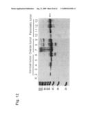 Identification of Surface-Associated Antigens for Tumor Diagnosis and Therapy diagram and image