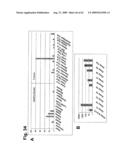 Identification of Surface-Associated Antigens for Tumor Diagnosis and Therapy diagram and image