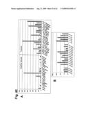 Identification of Surface-Associated Antigens for Tumor Diagnosis and Therapy diagram and image