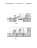 Means for Obtaining Avirulent Leishmania Promastigotes, Promastigotes Obtained, and the Applications Thereof diagram and image