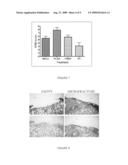 Method for Cell Implantation diagram and image