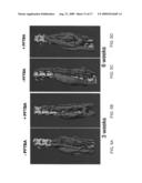 Scaffolds with oxygen carriers, and their use in tissue regeneration diagram and image