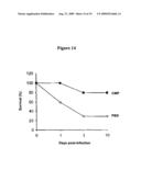 CHITIN MICROPARTICLES AND THEIR MEDICAL USES diagram and image