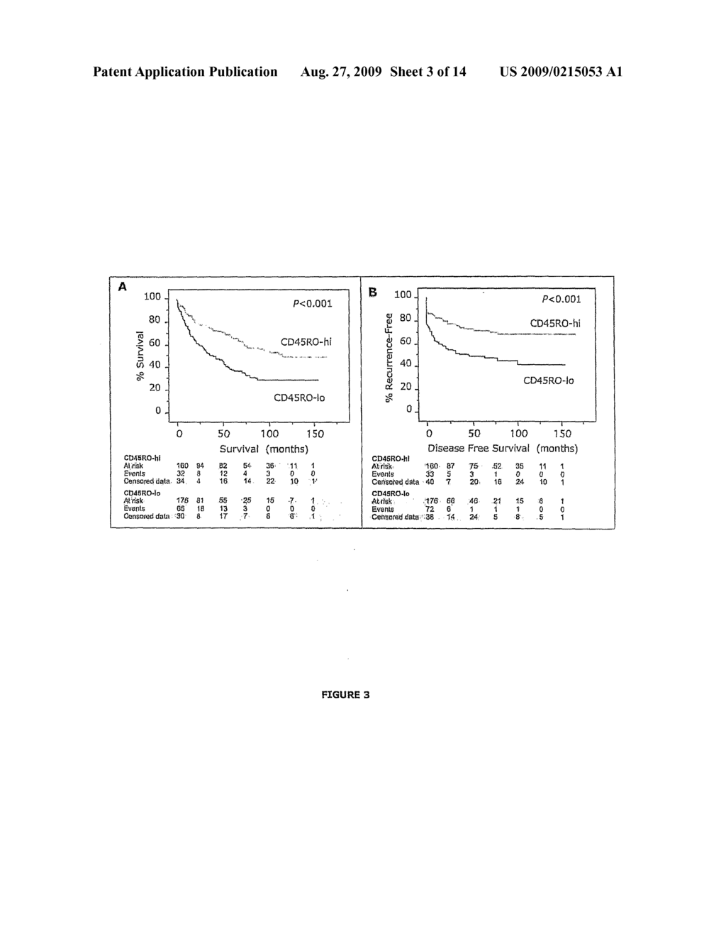 Vitro Method for the Prognosis of Progression of a Cancer and of the Outcome in a Patient and Means for Performing Said Method - diagram, schematic, and image 04