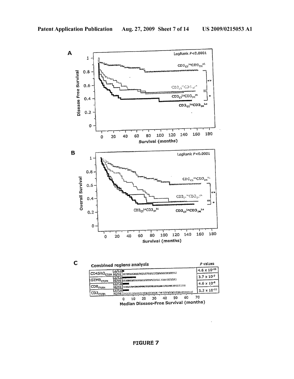 Vitro Method for the Prognosis of Progression of a Cancer and of the Outcome in a Patient and Means for Performing Said Method - diagram, schematic, and image 08