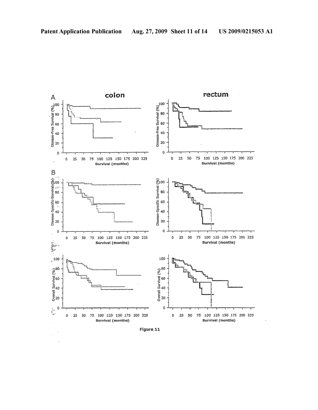 Vitro Method for the Prognosis of Progression of a Cancer and of the Outcome in a Patient and Means for Performing Said Method - diagram, schematic, and image 12