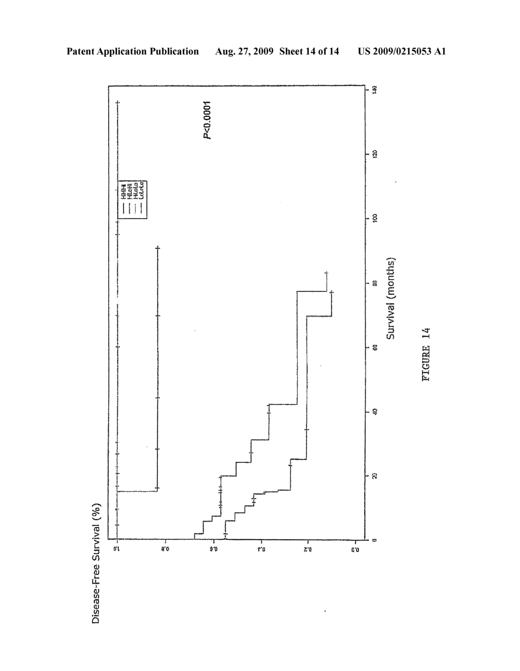 Vitro Method for the Prognosis of Progression of a Cancer and of the Outcome in a Patient and Means for Performing Said Method - diagram, schematic, and image 15