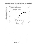 Highly Sensitive Immunoassays and Antibodies for Detection of Blood Factor VIII diagram and image
