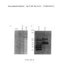 Highly Sensitive Immunoassays and Antibodies for Detection of Blood Factor VIII diagram and image