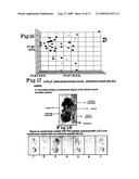 Layered peptide/antigen arrays - for high-throughput antibody screening of clinical samples diagram and image