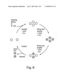 Site specific incorporation of keto amino acids into proteins diagram and image