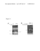 The Use of Protein S Fusion for Protein Solubilization diagram and image