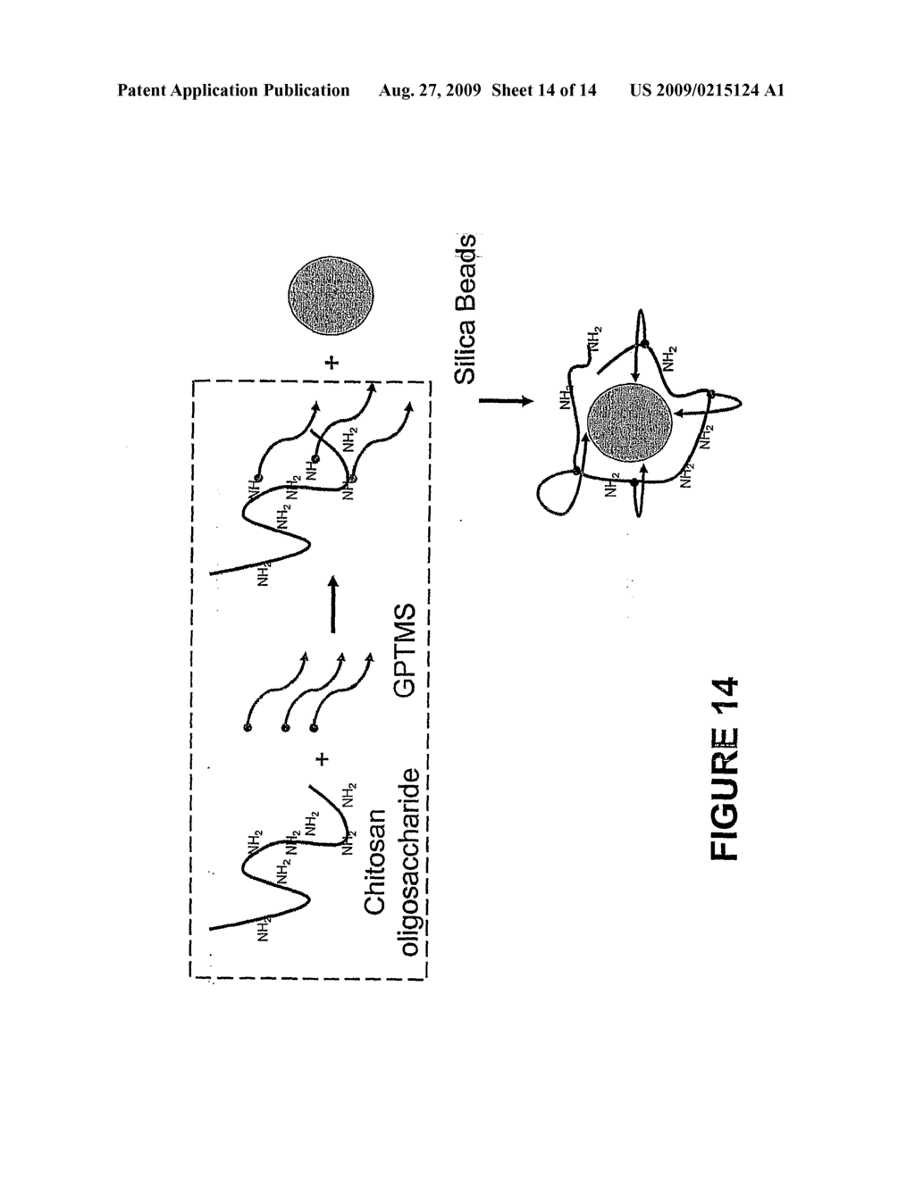 Nucleic acid isolation methods and materials and devices thereof - diagram, schematic, and image 15